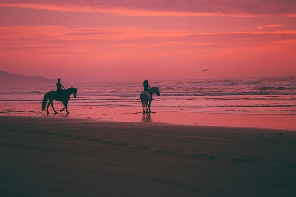 Peut-on trouver une location de vacances en Irlande avec des excursions à cheval sur la plage et des cours de musique traditionnelle?
