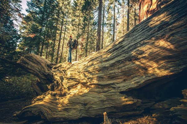 Comment planifier une visite des grottes de Waitomo, Nouvelle-Zélande?